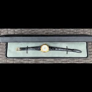 Pedre Brand Treasure Island Casino Las Vegas Now TI Logo Watch With Case Used